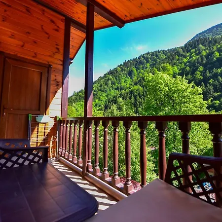 Hirande Aparthotel Uzungol